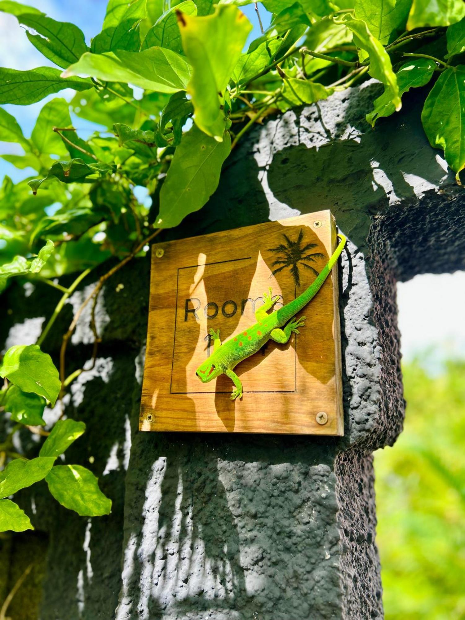 The Good Life - Eco Lodges & Serenity Boutique Hotel - Adults Only Cap Malheureux Buitenkant foto